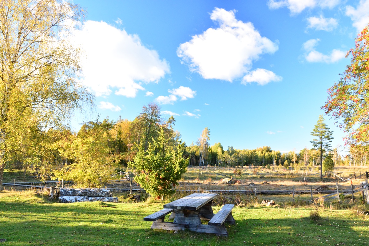 Örbackens kalkkärrs naturreservat